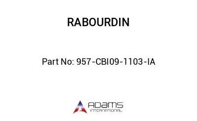 957-CBI09-1103-IA