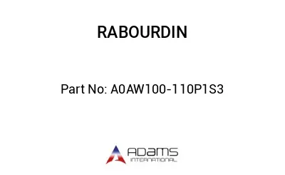 A0AW100-110P1S3
